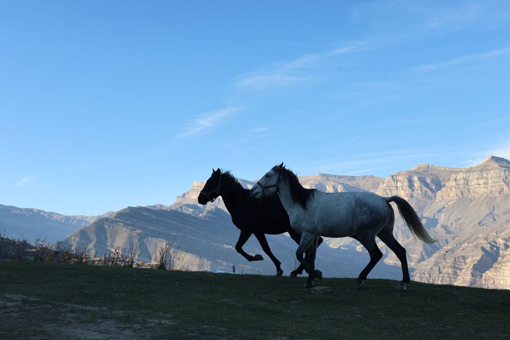 Photograph by Марина