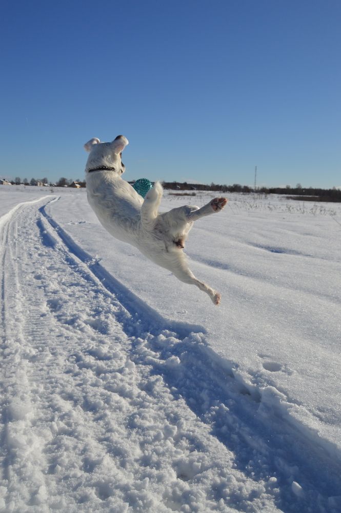 Photograph by Kryakushka