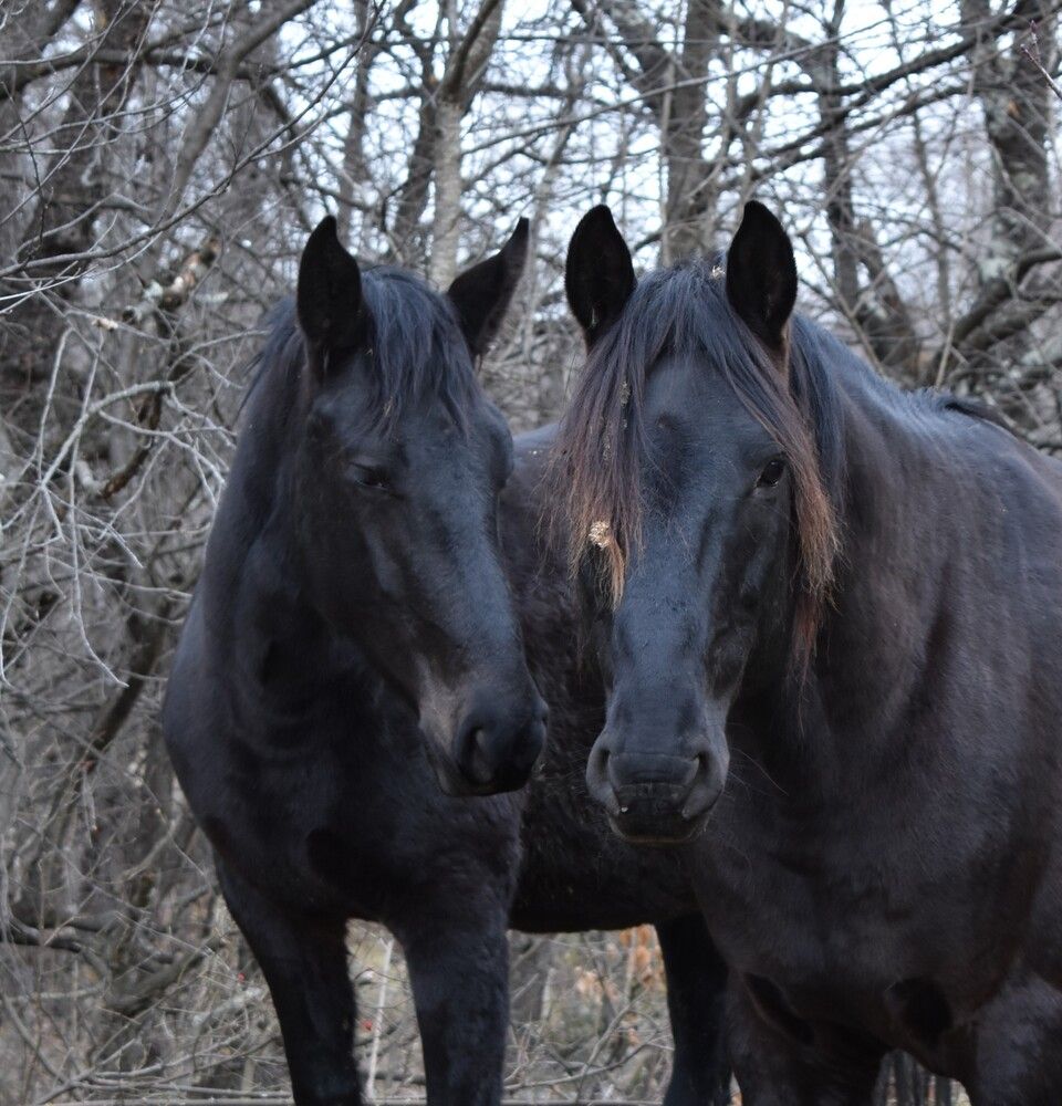 Photograph by Марина