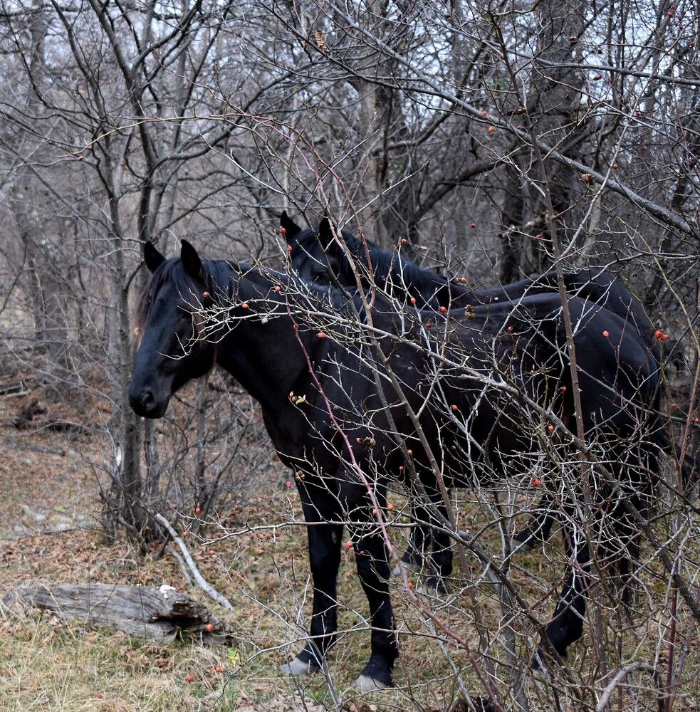 Photograph by Марина