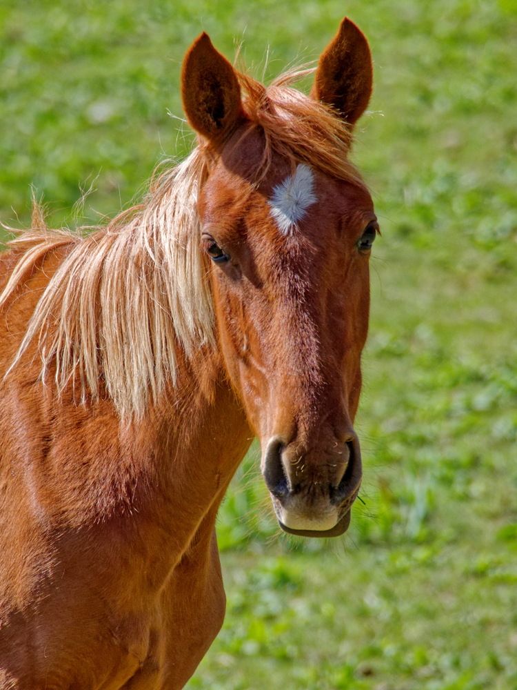 Фотография автора Андрей Панин