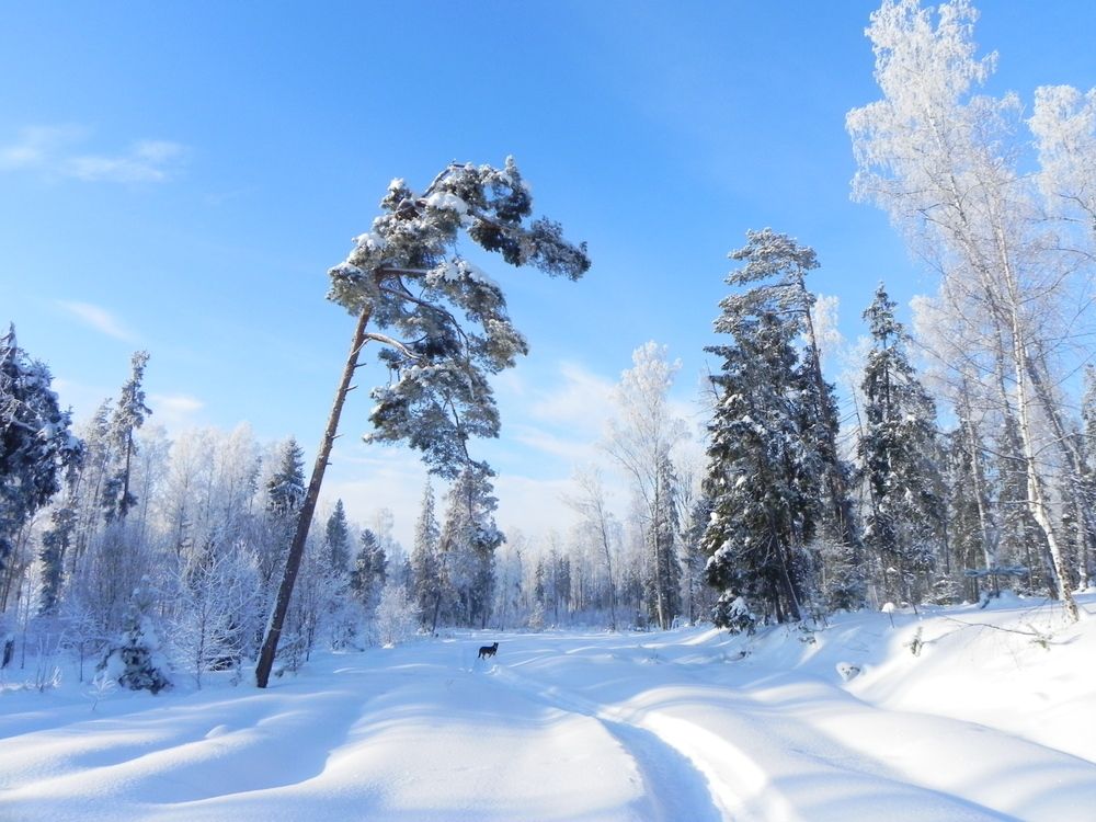 Photograph by Kryakushka