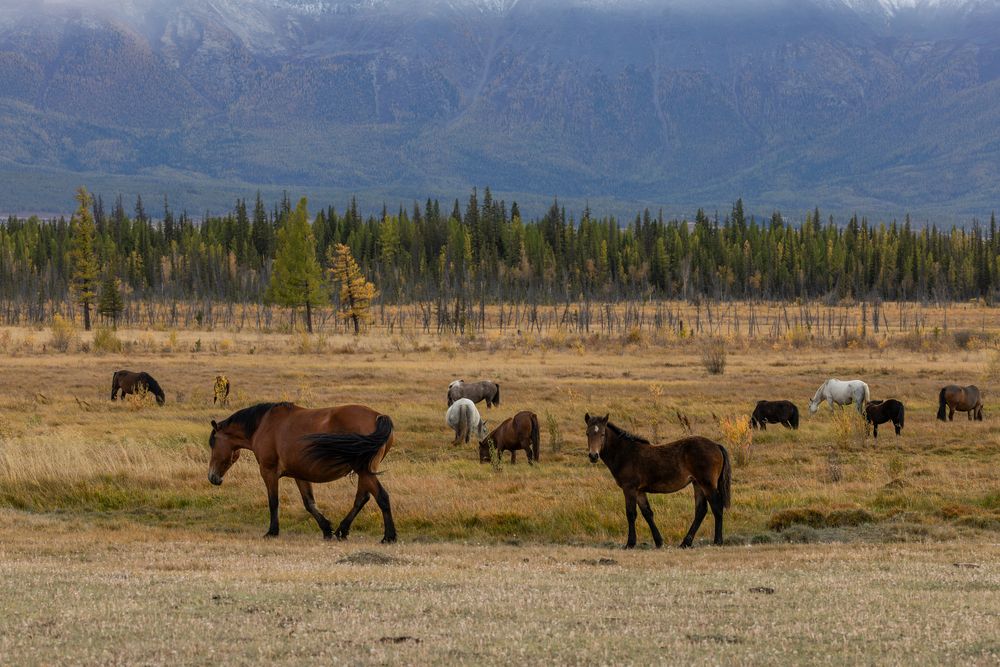 Photograph by Юлия Яковлева