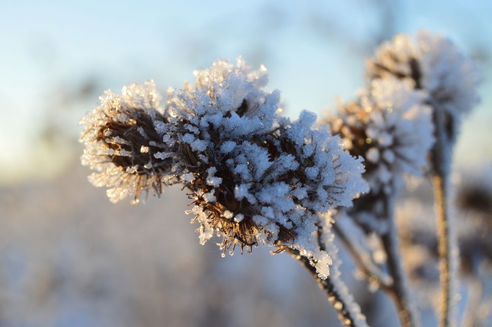 Photograph by Kryakushka