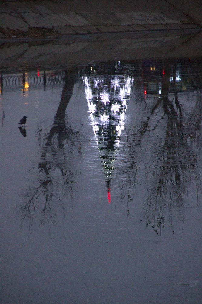 Photograph by Вакулина Марина