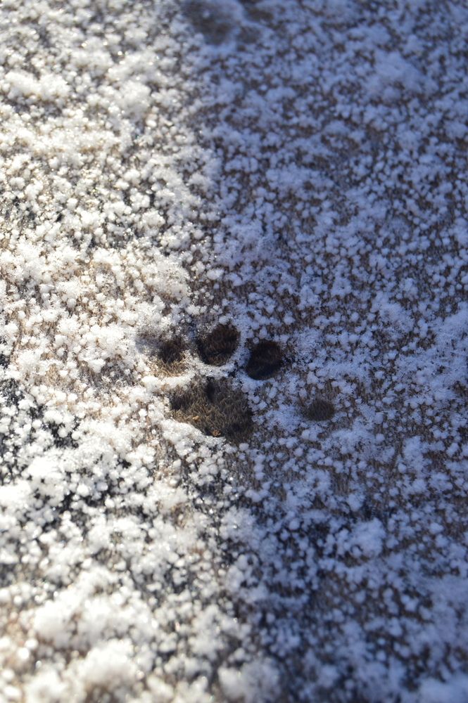 Photograph by Kryakushka