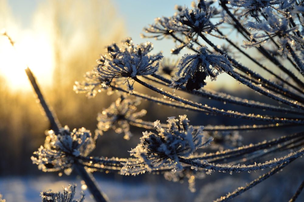 Photograph by Kryakushka