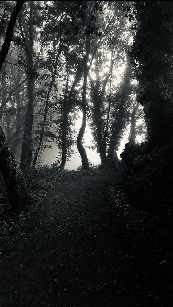 Photograph by Gabriel