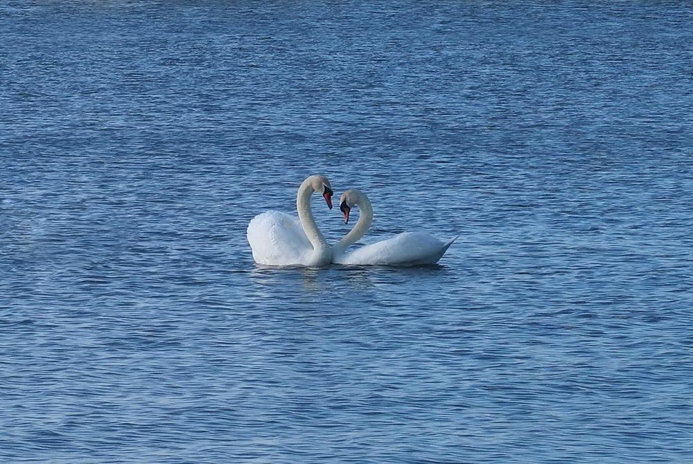 Photograph by Нина