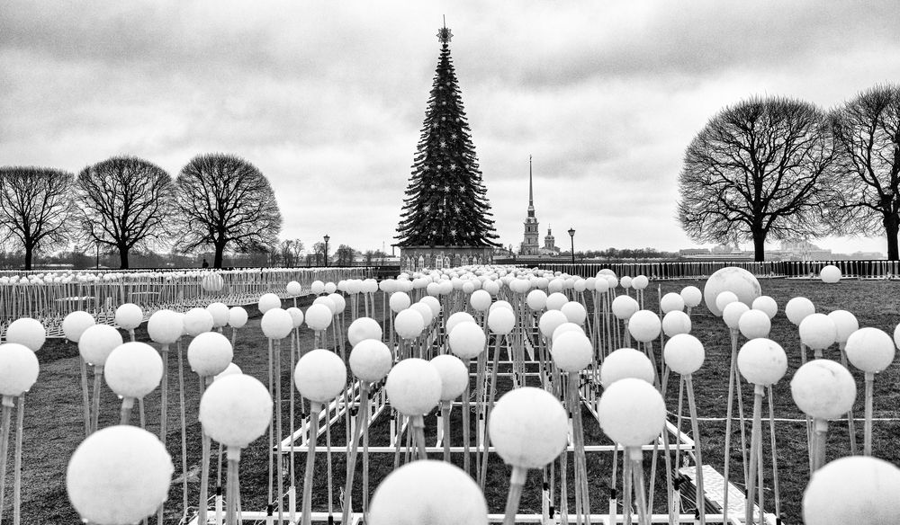 Photograph by Dimitri Bakhtadze