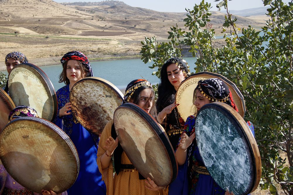 Photograph by Ali Ahmadian