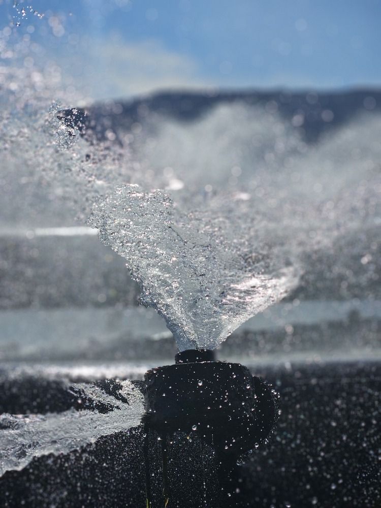 Photograph by Екатерина Смоленкина