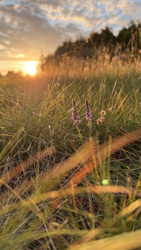 Photograph by Татьяна Михайлова