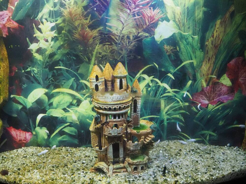 Photograph by Сергей Борисов