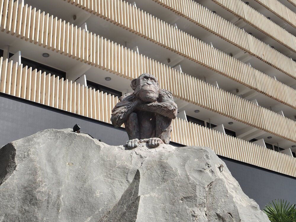 Photograph by Сергей Борисов