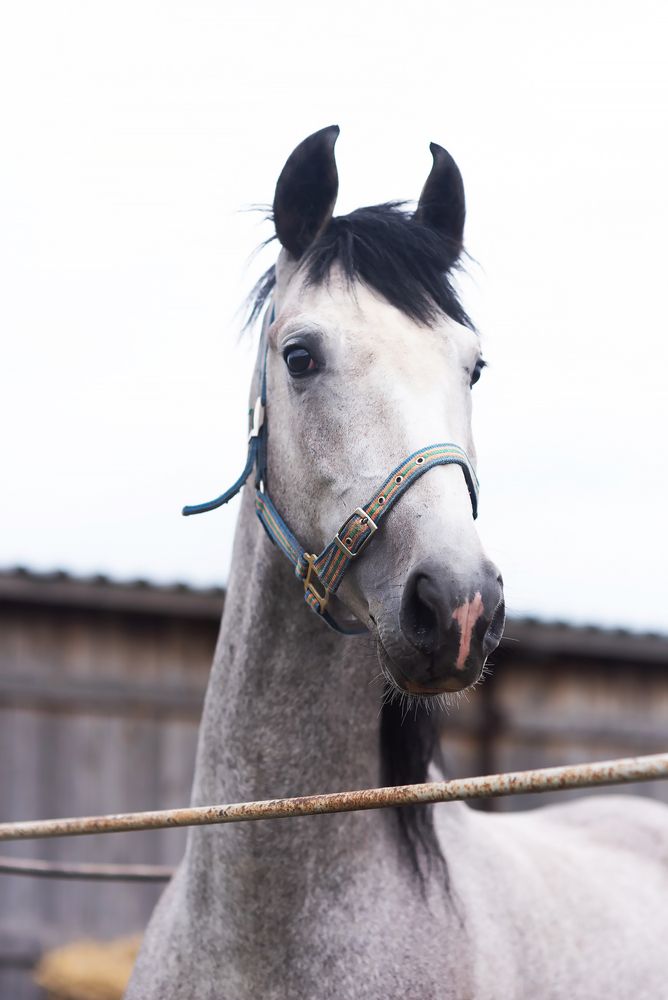 Photograph by Алена Алексеева