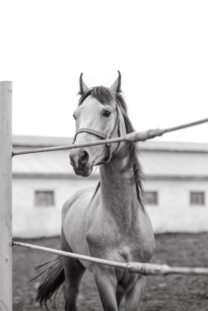 Photograph by Алена Алексеева