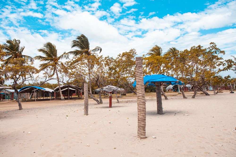 Photograph by Charlemagne Louvensky Wisner