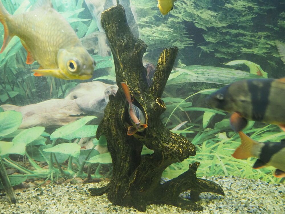 Photograph by Сергей Борисов