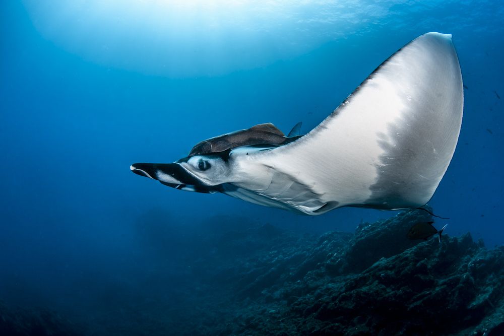 Фотография автора Fabi Fregonesi