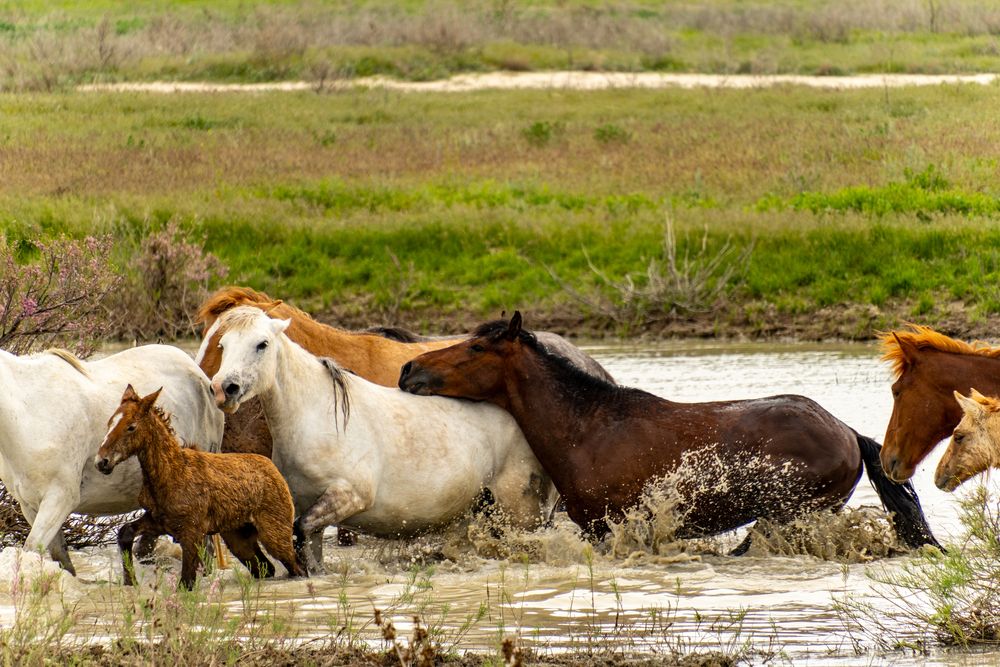 Photograph by Андрей Соколов