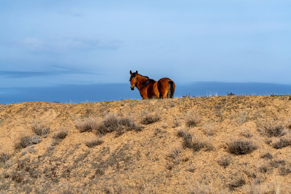 Photograph by Андрей Соколов