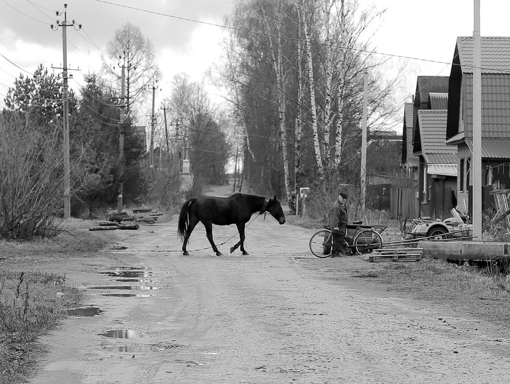 Photograph by Георгий Юркин