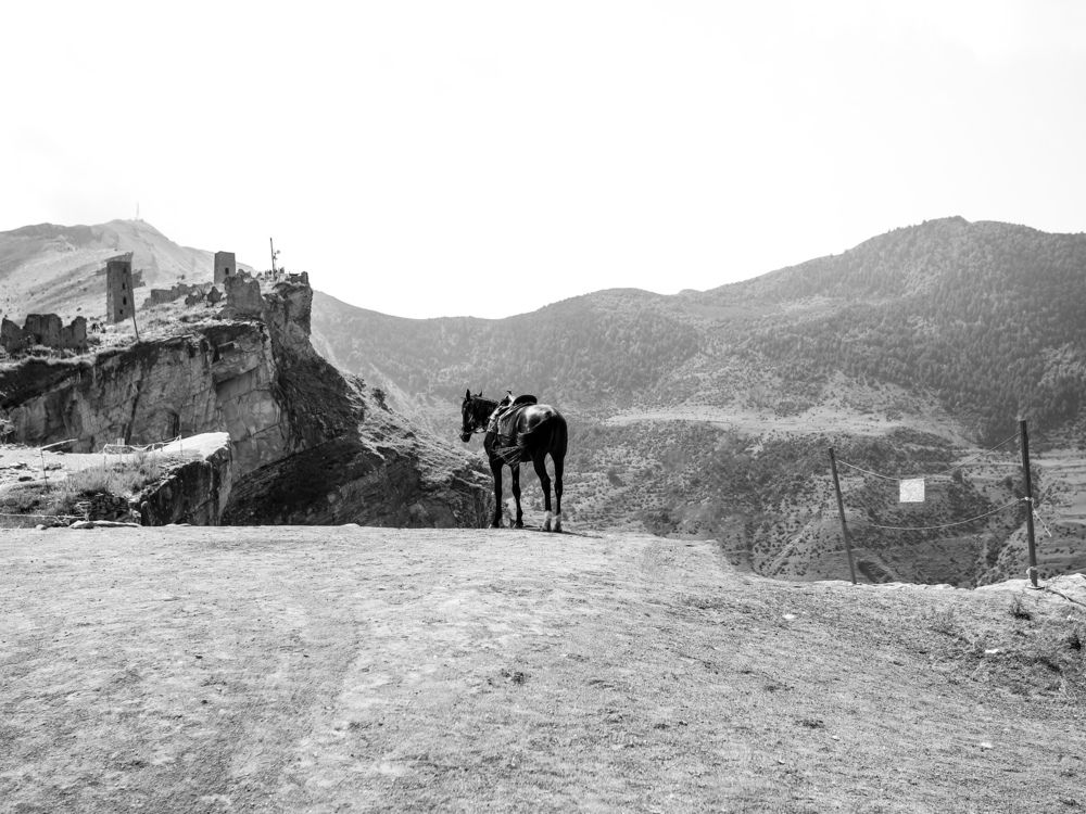 Photograph by Георгий Юркин