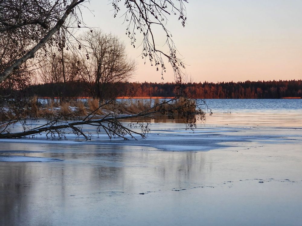 Photograph by Александр Шаварин