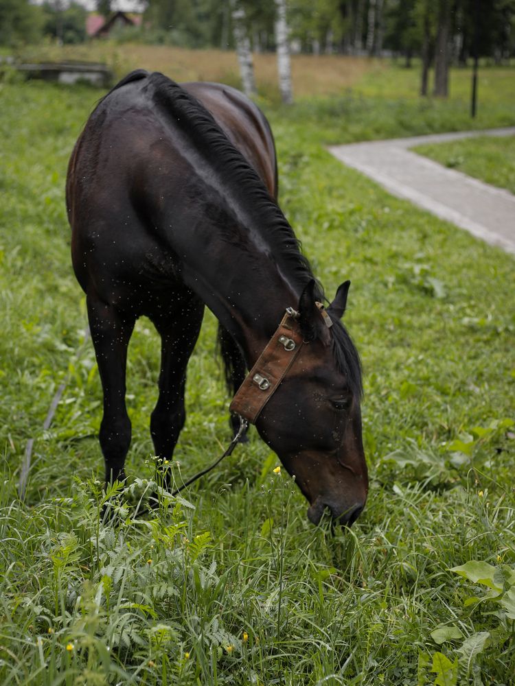 Photograph by Георгий Юркин