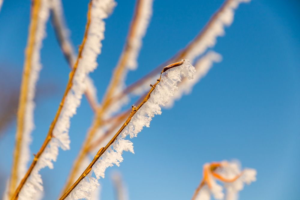 Photograph by Юрий Ломакин
