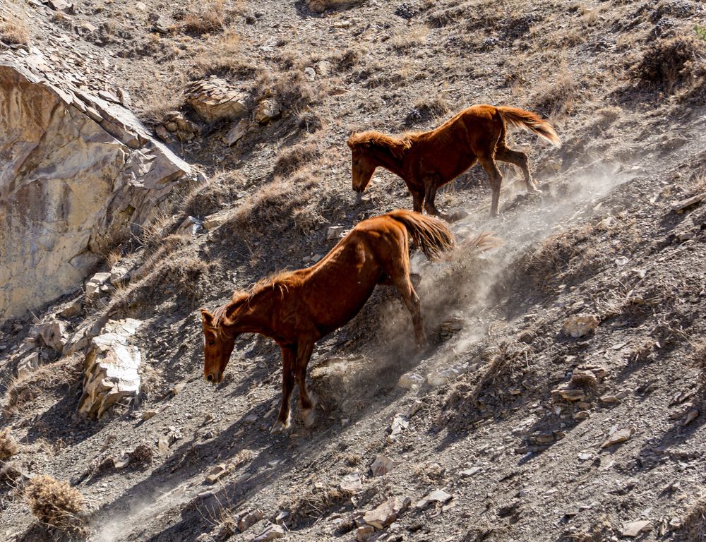 Photograph by Андрей Соколов