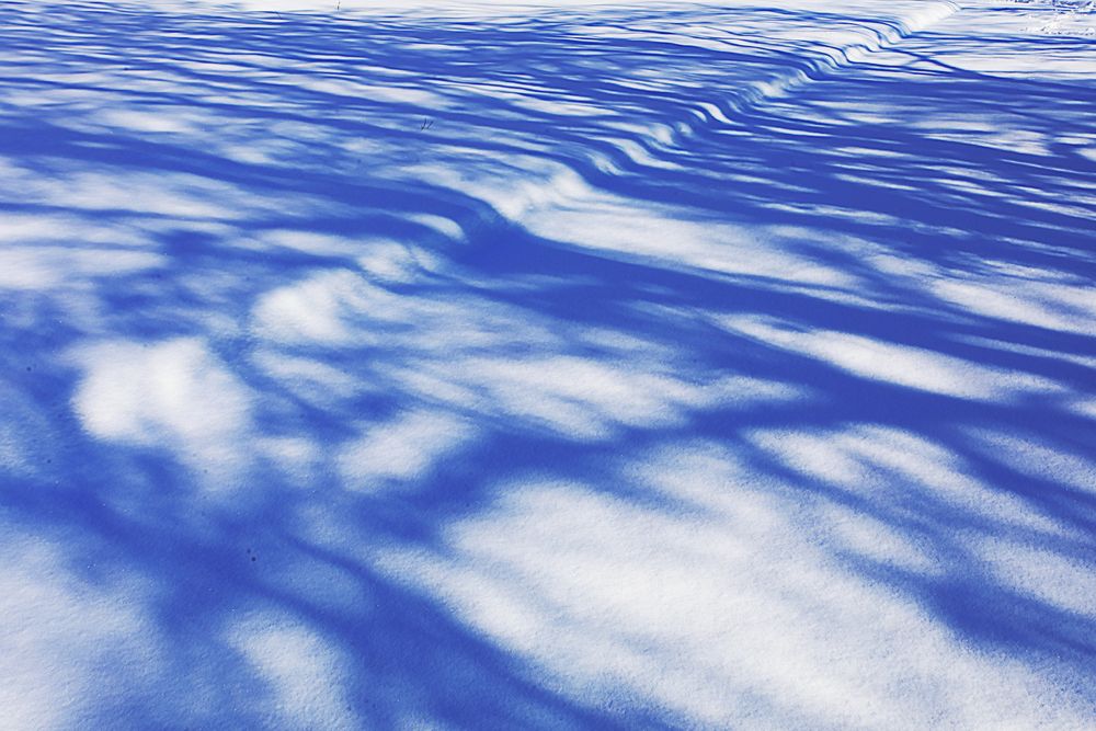 Photograph by Николай Протасеня