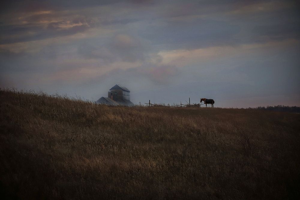 Photograph by Роман Гурененко
