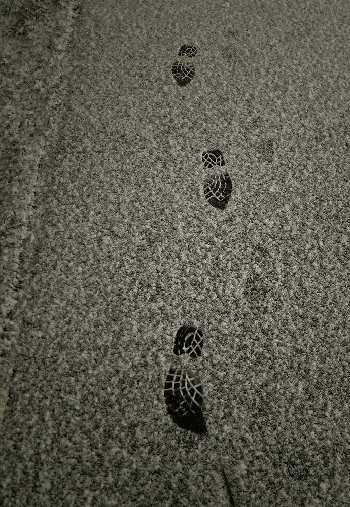 Photograph by Александр Житник