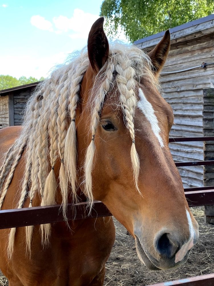Фотография автора Виталий Иванов