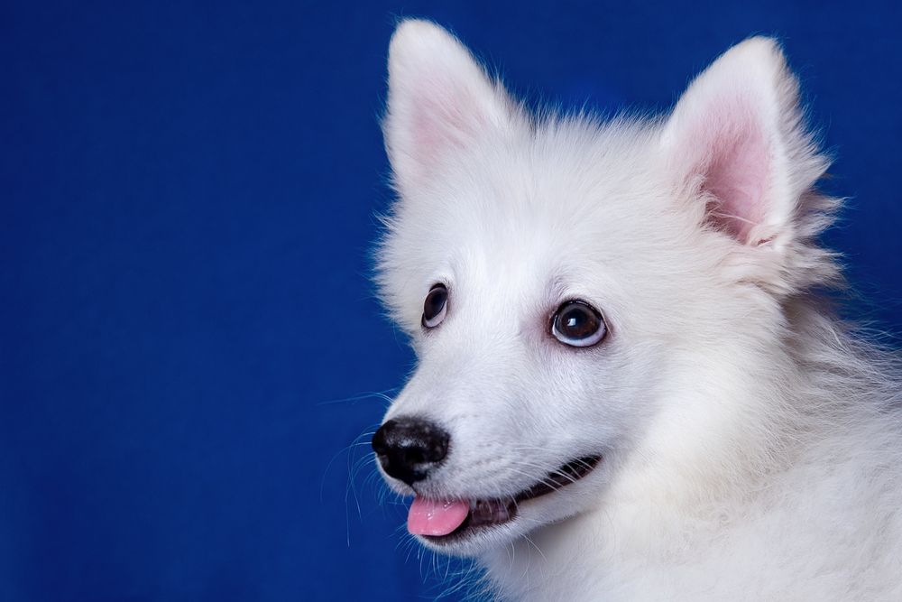 Photograph by наталья залогина