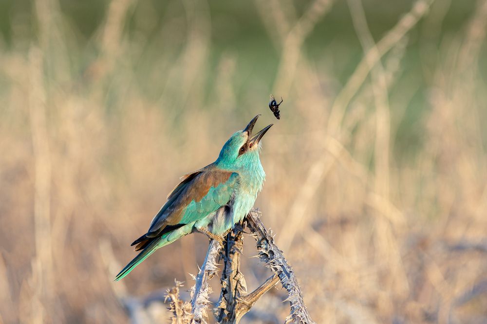 Photograph by Evgenia Sevryukova