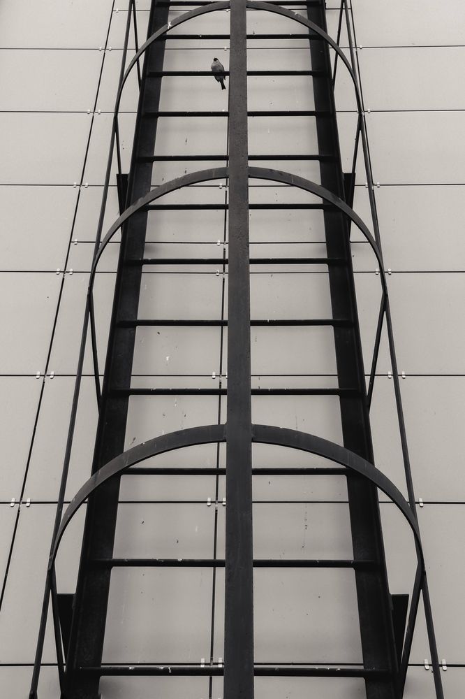 Photograph by Elena Savchuk