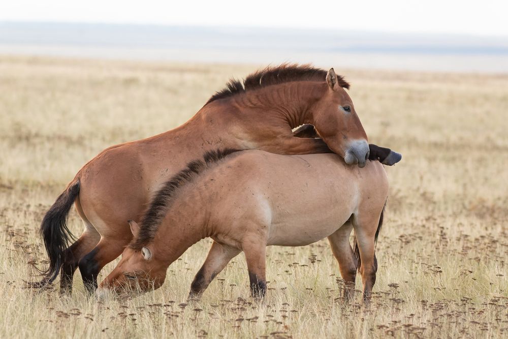 Photograph by Евгения Севрюкова