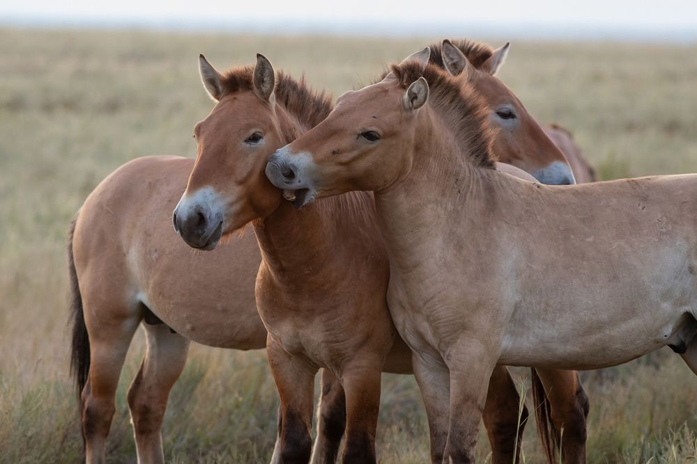 Photograph by Евгения Севрюкова