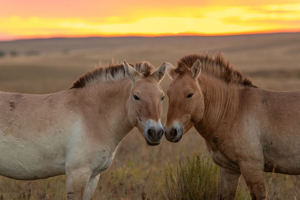 Photograph by Евгения Севрюкова