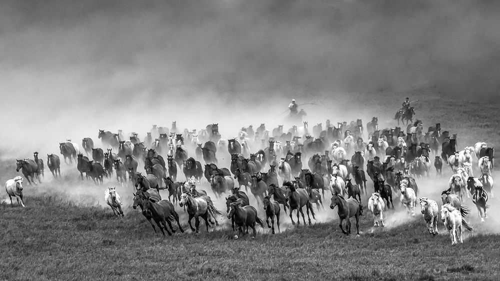 Photograph by Despina Anastasis