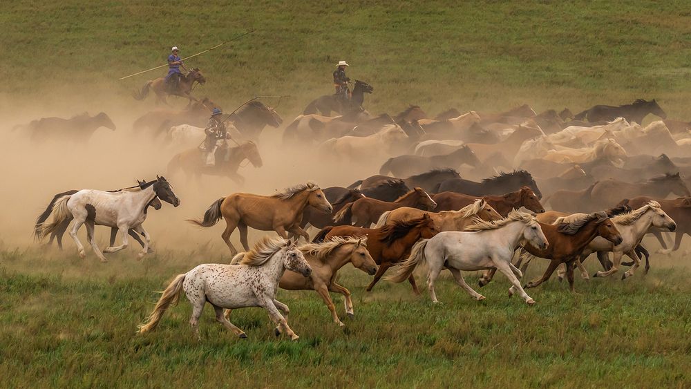 Photograph by Despina Anastasis