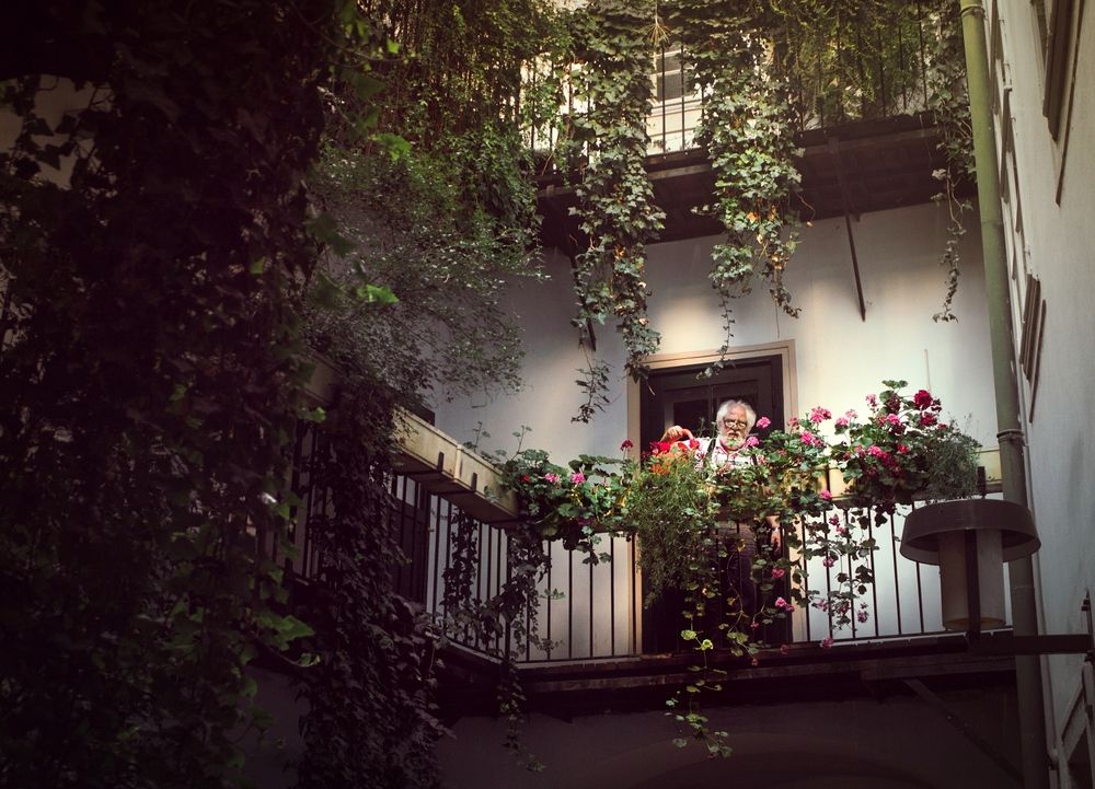 Фотография автора Виктория Трущенко