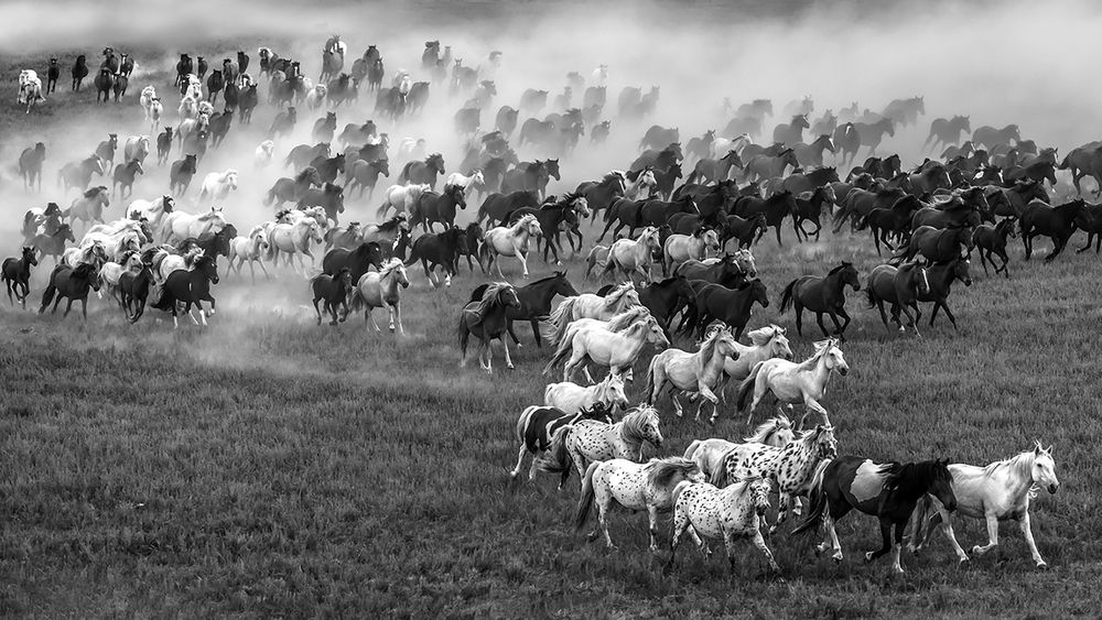 Photograph by Despina Anastasis