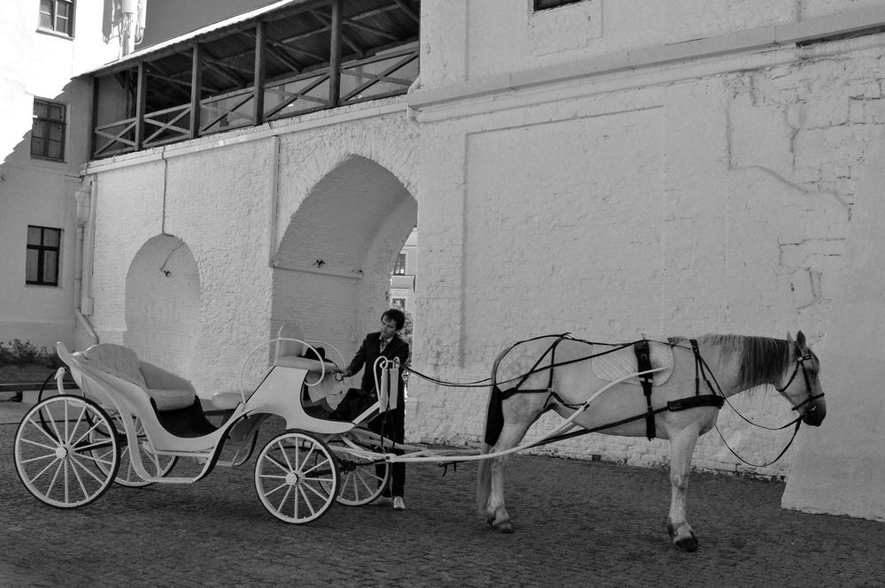 Photograph by Елена Чулюнина