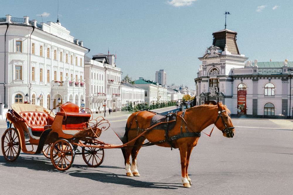 Photograph by Елена Чулюнина