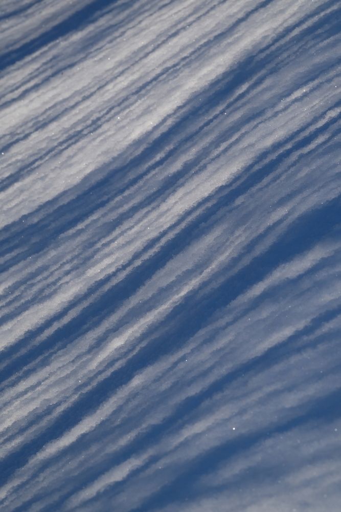 Photograph by Яна Бойко