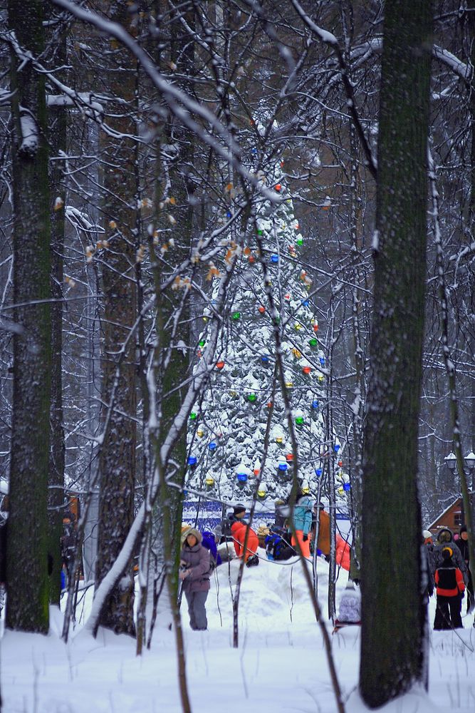 Photograph by Роман Гурененко